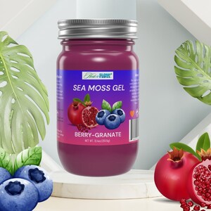Organic Blueberry Pomegranate Fruit Infused Sea Moss Gel