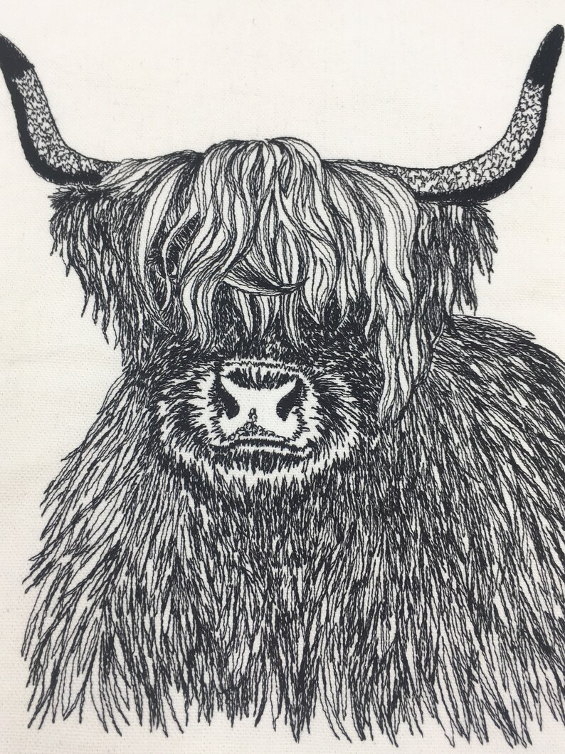 May include: Black and white line drawing of a Highland cow with long, shaggy hair. The cow is looking directly at the viewer.