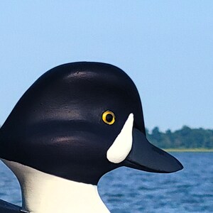Puede incluir: Primer plano de un se&ntilde;uelo de pato de madera negro y blanco con un ojo amarillo. El se&ntilde;uelo flota en una masa de agua.