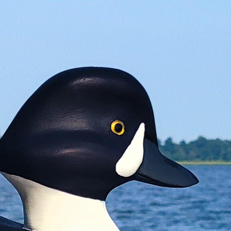 Puede incluir: Primer plano de un se&ntilde;uelo de pato de madera negro y blanco con un ojo amarillo. El se&ntilde;uelo flota en una masa de agua.