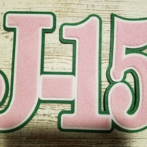May include: Pink felt letters with a green outline, spelling out "J-15".