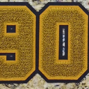 1906 Chenille Number Set