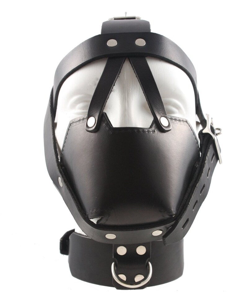 Leather Muzzle Head Harness Etsy