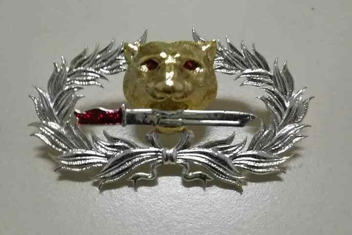 ピンバッジ Royal Thai Navy Badge Thailand Marine Pin Original Item 