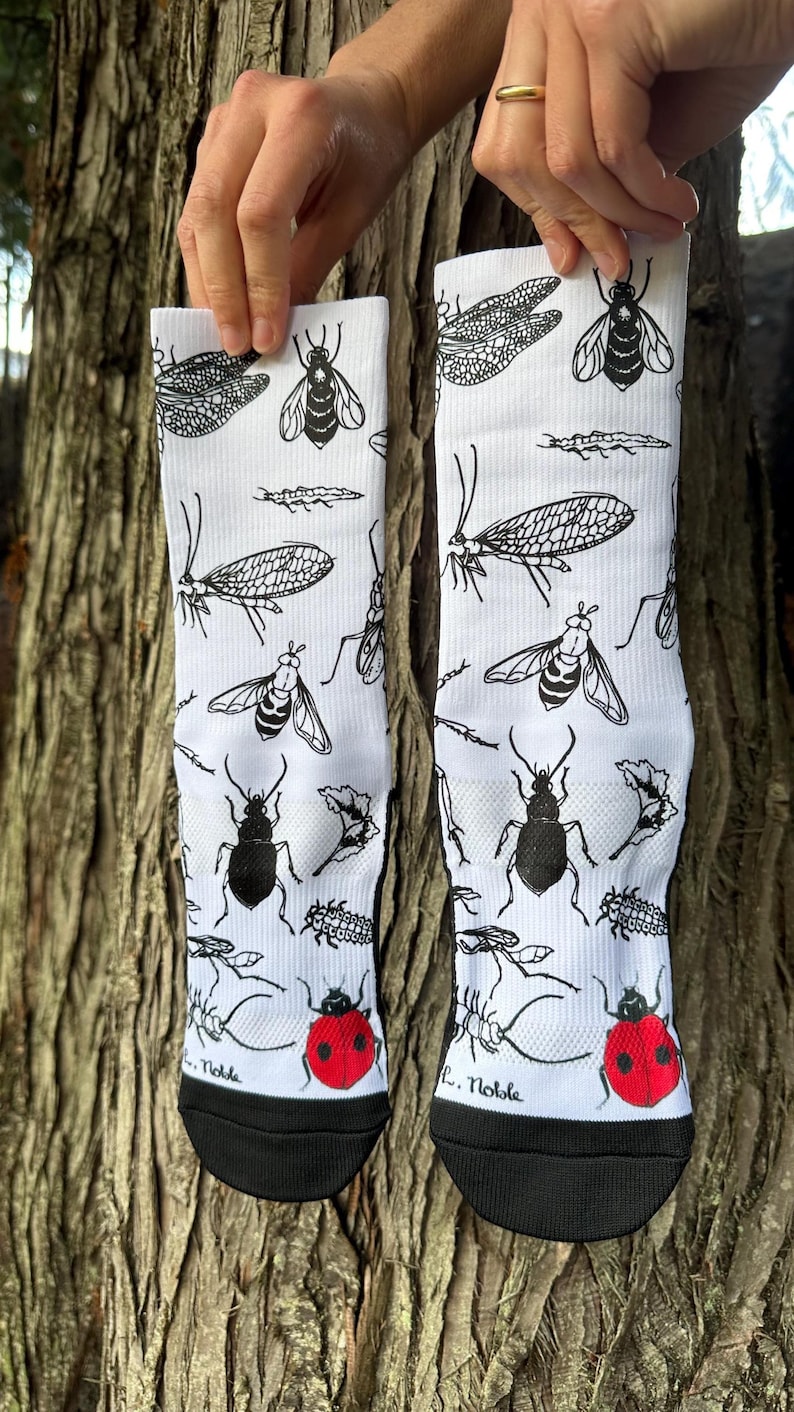 Insect Socks Bug Athletic Socks of Garden Friends / Bike / Hike / Gym / Cycling ...