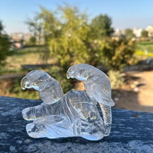 Clear Quartz Parrot Pair Carving, Natural Stone Sculpture, Hand-carved Quartz Parrots, Crystal Home Decor, Unique Gift