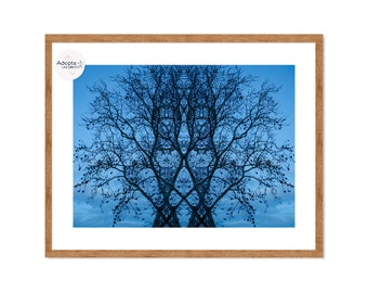 Signed photograph, limited edition, Melpomène, blue, tree, branches, leaves, imagination, reverie, decoration, pareidolia, nature, muse, song