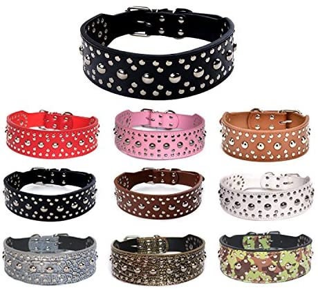 Female hot sale pitbull collars