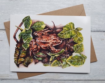 Frog Greeting card / Birthday Card