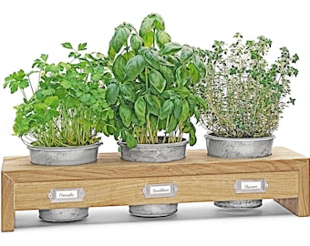Herb box / herb shelf HUGO with inscription and 3x herb pot galvanized
