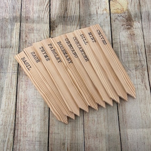 Etichette in legno fatte a mano per erbe aromatiche: marcatori per piante da giardino