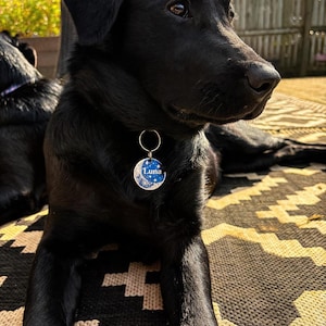 Medaglietta personalizzata per cani Moon - Medaglietta personalizzata con nome del gatto, incisione su collare per animali domestici - Acciaio inossidabile resistente / Luna, stelle, cielo... immagine 9