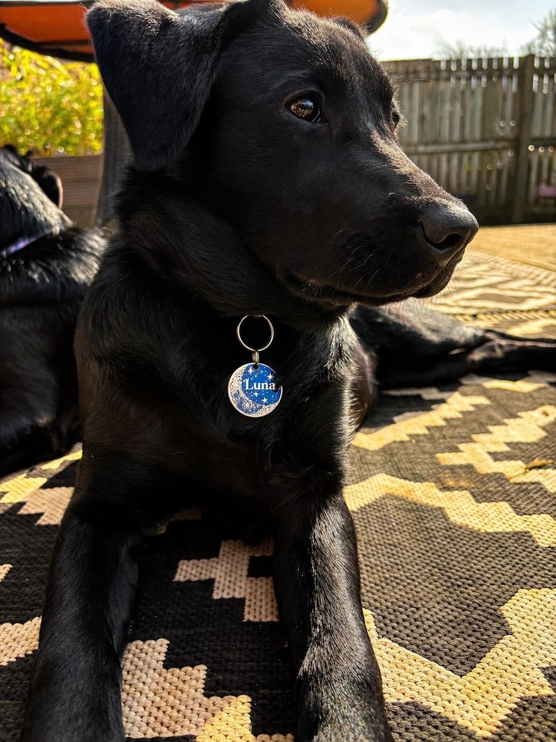 Medaglietta personalizzata per cani Moon - Medaglietta personalizzata con nome del gatto, incisione su collare per animali domestici - Acciaio inossidabile resistente / Luna, stelle, cielo... immagine 9