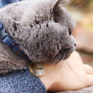 May include: A gray cat with a blue and orange collar and a round tag that says "Hugo" on it.