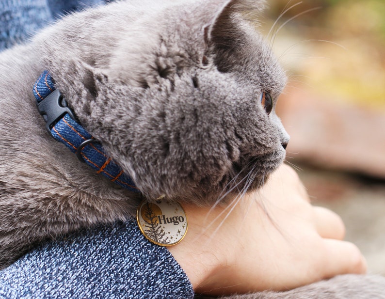 May include: A gray cat with a blue and orange collar and a round tag that says "Hugo" on it.