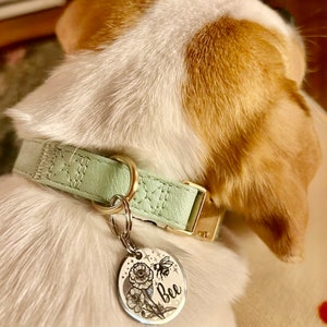 May include: A light green dog collar with a silver tag that says "Bee" and has a floral design with a bee on it.