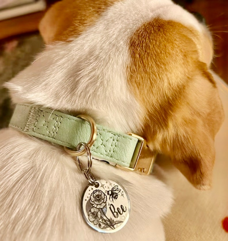 May include: A light green dog collar with a silver tag that says "Bee" and has a floral design with a bee on it.
