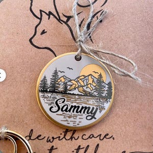Custom dog tag Personalized pet ID tag Cat collar tag Engraved dog name tag, cat name tag, Dog ID tag, Pet tag for puppy kitten image 10