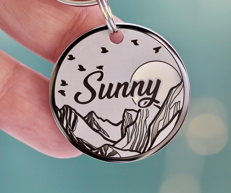 Custom dog tag Personalized pet ID tag Cat collar tag Engraved dog name tag, cat name tag, Dog ID tag, Pet tag for puppy kitten image 12