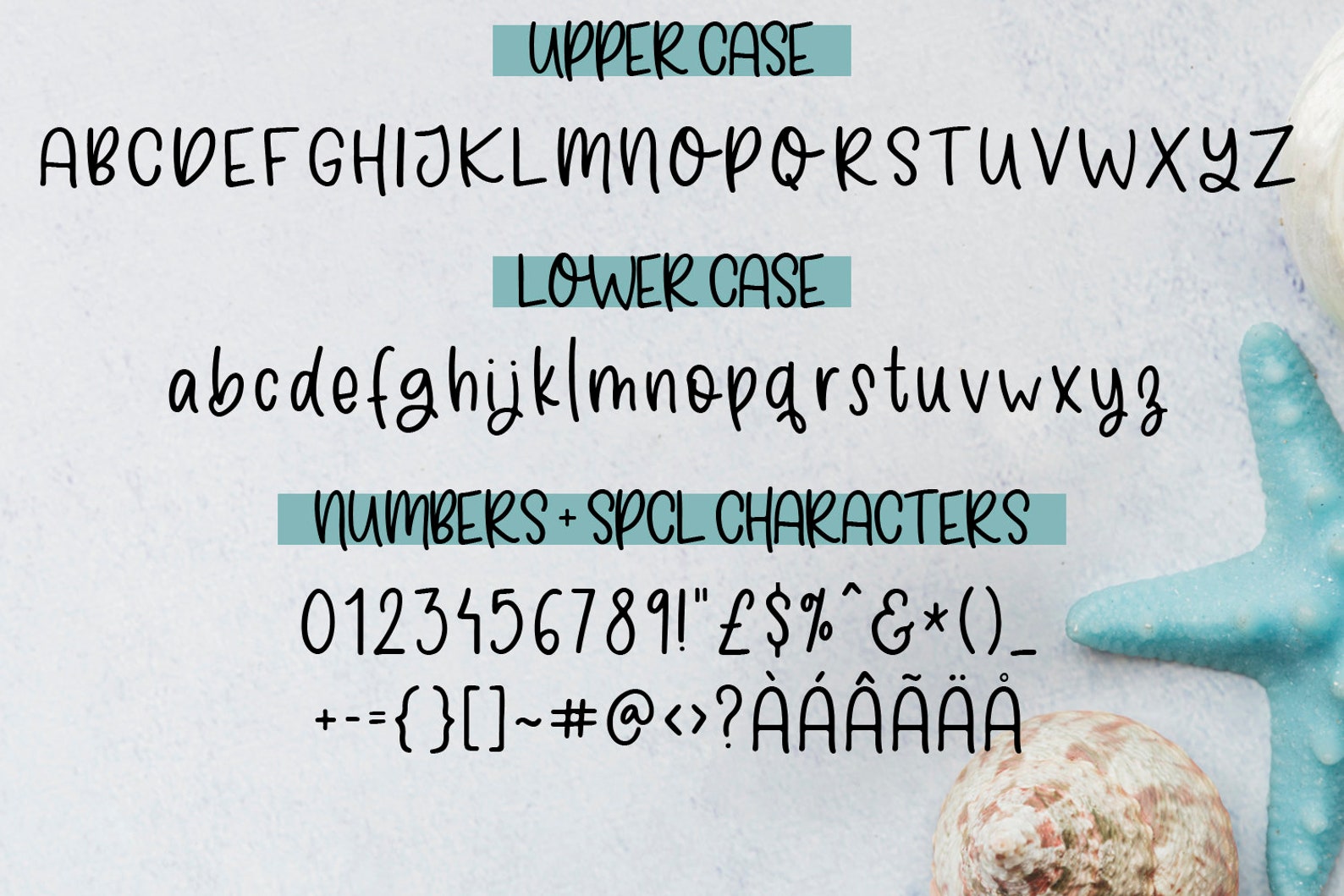 Shark Bite Font Shark Font Ocean Font Sea Font Nautical - Etsy