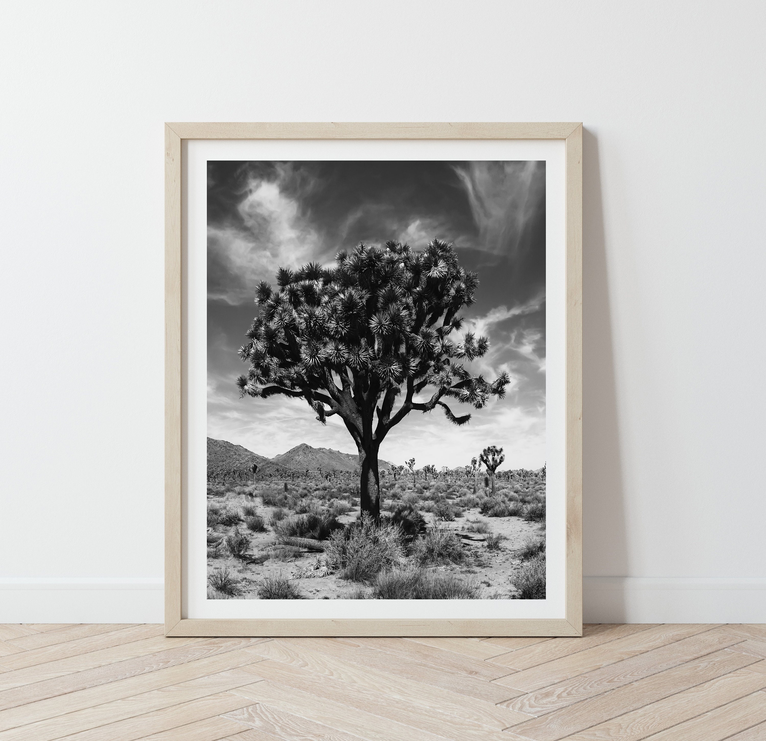 Joshua Tree Print Black and White National Park Photography Etsy