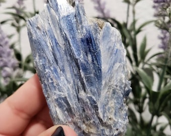 Kyanite cluster, Blue Kyanite specimen, Kyanite, small cluster, rare Kyanite, blue kyanite, Kyanite specimen, crystals, gemstones,