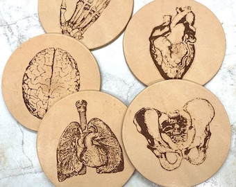 Set-Human Anatomy Leather Coasters,Nurse,Doctor,Medical School Gift,Biology Coaster,Goth Decor,Vintage Skeleton Coaster,Human Anatomy Print