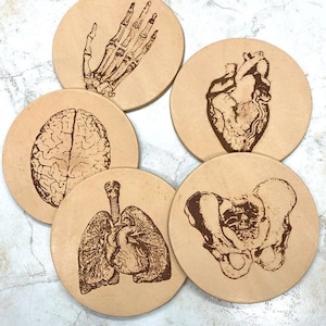 anatomy oddities curiosities gothic vintage diagram organs anatomical science victorian renaissance Corset Disfiguration Coasters set 4