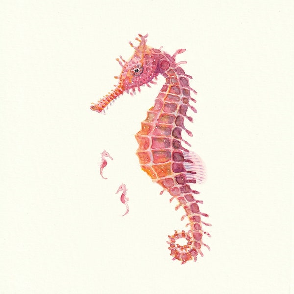 Tirage d’art « Seahorse » DIN A5