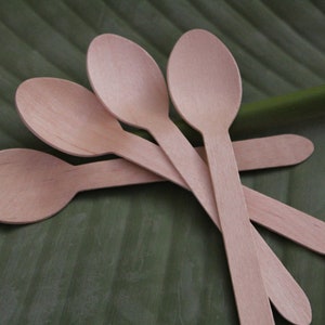 100 Wooden Spoons // Eco-friendly Spoons  // Tableware// Table decoration // Picnic cutlery // Birthday Parties