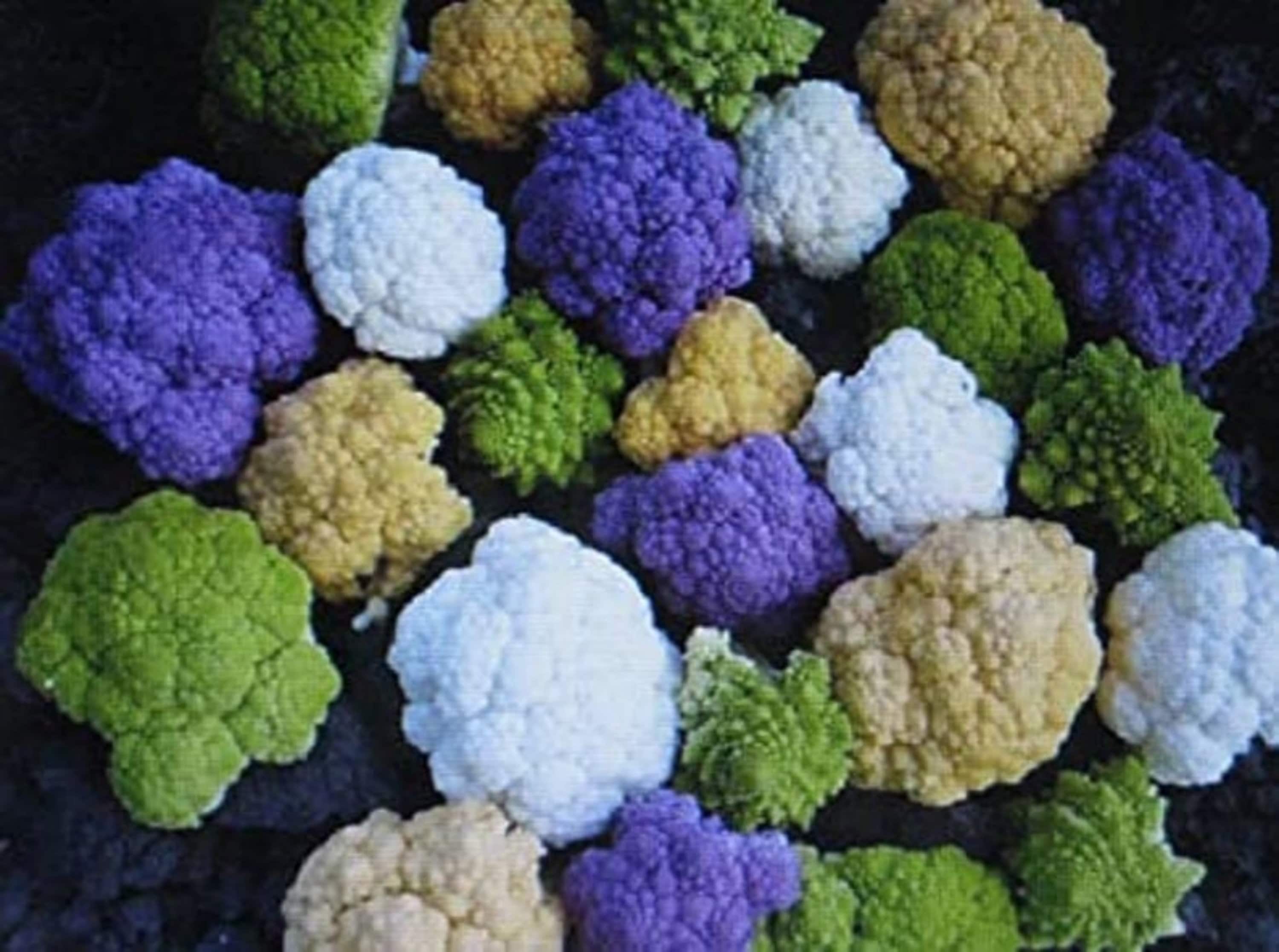 Rainbow Cauliflower Broccoli Blend 30 seeds 2021 Etsy