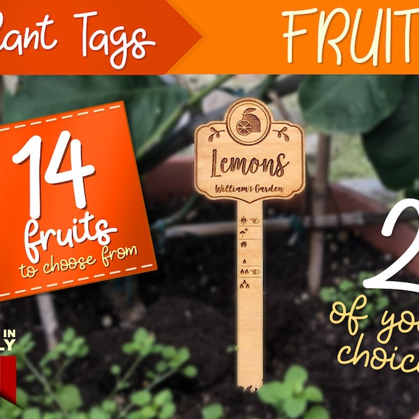 Fruits Plant Tags, Custom Plant Tags, Orchard Accessories, Wood Fruits Tags, Plant Markers, Wood Tag Plants, Custom Garden, Eco Garden Stake