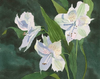 White Alstroemeria Original Watercolor Painting by Kelly Hildner, 10x8 Signed Artwork, Unframed, Wall Art Gift 8x10