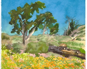 California Wildflowers Watercolor Fine Art Print, Spring Landscape Wall Art, "Figueroa Mountain Wildflowers"