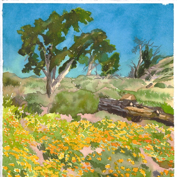 California Wildflower Print Etsy