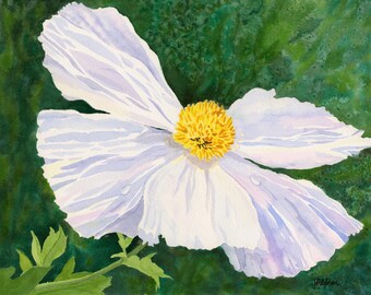 Matilija Poppy Original Watercolor Painting by Kelly Hildner, 11x14 Signed Artwork, Unframed Floral Wall Art, Flower Art, Flower Painting