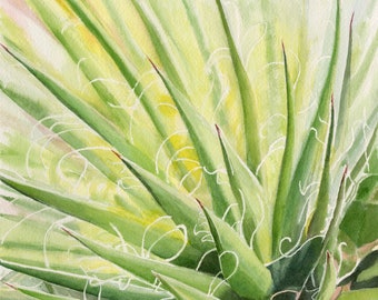 Succulent Original Watercolor Artwork, Signed Painting, Unframed, Wall Art, 9x12, Thread Agave, Succulent 1, Succulent Series