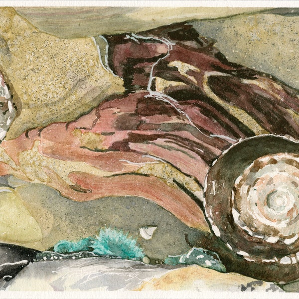 Tidepool Giclee Print from Original Watercolor Artwork, Wall Art, Beach Painting, 10x15 Inches