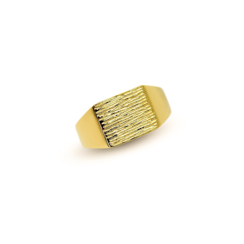 18k GOLD Plated SIGNET Ring for Men: 925 Sterling Silver Gold Plated ...