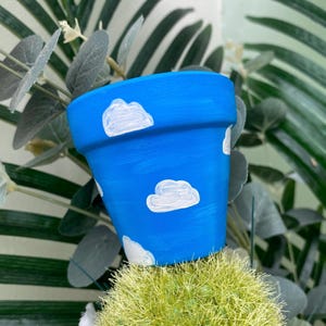 May include: A small blue terracotta pot with white painted clouds. The pot is sitting on a bed of green moss.