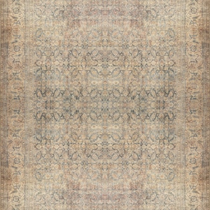 Distressed Vintage Design Brand New Area Rug - Small Medium Large Size Rugs, Neutral Rug, Antique Looking Rugs Boho Faded Oriental