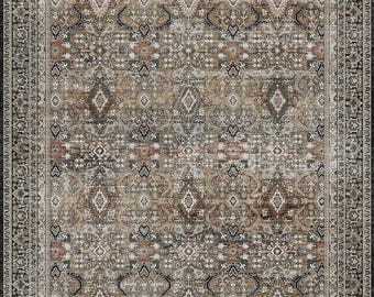 May include: A brown and beige area rug with a traditional Persian design. The rug has a black border with intricate details.