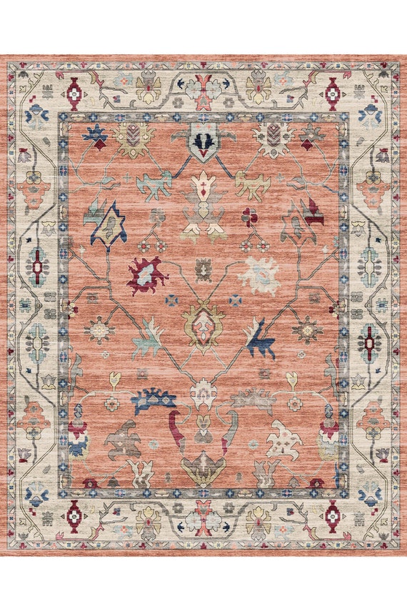 Traditional Kilim Area Rug: Cotton Chenille Easy to Clean Oushak Carpet Washable Living Room Bedroom