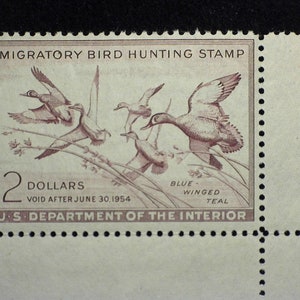HS&C: Scott #RW20 Mint Choice corner margin stamp. vf/xf NH Stamp