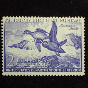hs&c Scott #RW19 Mint VF NH US Stamp