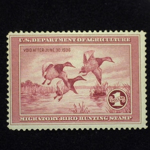 hs&c Scott #RW2 Mint Fresh. F LH US Stamp
