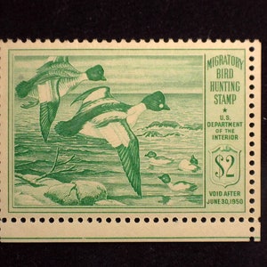 hs&c Scott #RW16 Mint VF NH US Stamp