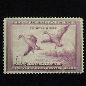 hs&c Scott #RW5 Mint VF LH US Stamp