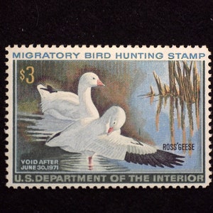 hs&c Scott #RW37 Mint VF NH US Stamp