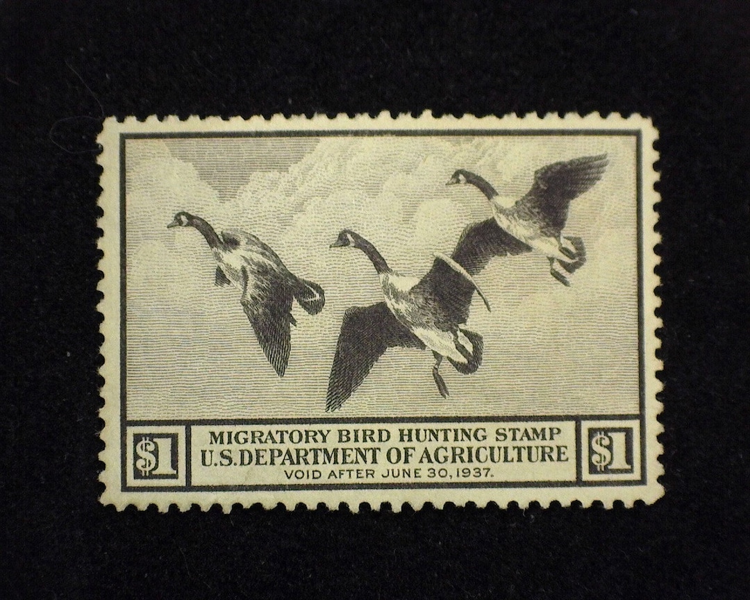 Timbre US SCOTT RW49 Canard 7,50 $ – Feuille Canards Dos Toile 225,00 $, MNH